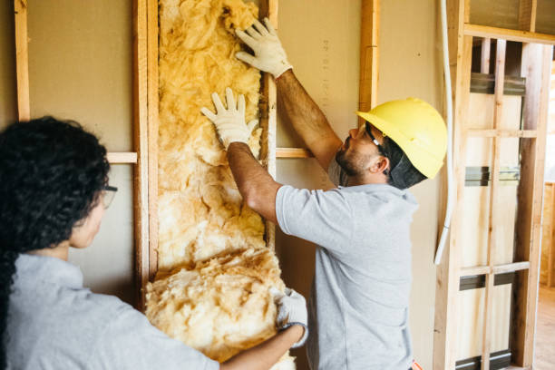 Trusted Baidland, PA Insulation Services Experts